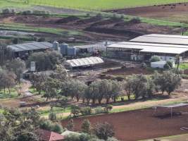 Drone flyover of dairy farm - Captured at Minko North Dairy, Korunye SA Australia.