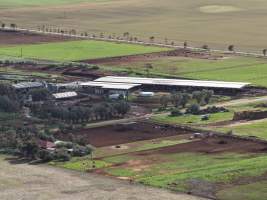 Drone flyover of dairy farm - Captured at Minko North Dairy, Korunye SA Australia.