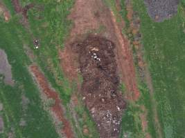 Drone flyover of dead pile at dairy farm - A pile of carcasses and skeletons of calves and cows, mixed in with dirt, on a dairy farm. - Captured at Minko North Dairy, Korunye SA Australia.