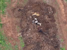 Drone flyover of dead pile at dairy farm - A pile of carcasses and skeletons of calves and cows, mixed in with dirt, on a dairy farm. - Captured at Minko North Dairy, Korunye SA Australia.
