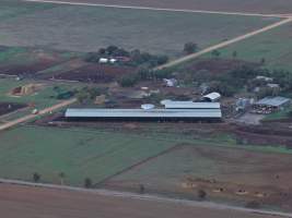 Drone flyover of dairy farm - A herd of dairy cows in a pen, waiting to be moved into the milking shed. - Captured at Minko North Dairy, Korunye SA Australia.