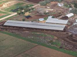 Drone flyover of dairy farm - Captured at Minko North Dairy, Korunye SA Australia.