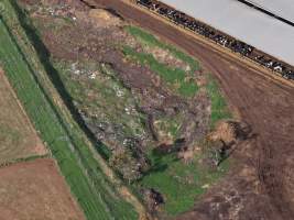 Drone flyover of old mass grave at dairy farm - An old mass grave filled with skeletons of calves and cows, mixed in with dirt, on a dairy farm. - Captured at Minko North Dairy, Korunye SA Australia.