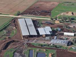 Drone flyover of dairy farm - Captured at Minko North Dairy, Korunye SA Australia.