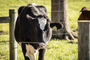 Middlebush Farms - Captured at Middlebush Farms, Franklin Township NJ United States.