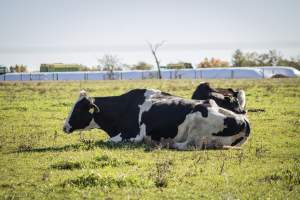 Middlebush Farms - Captured at Middlebush Farms, Franklin Township NJ United States.