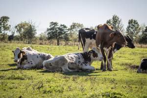 Middlebush Farms - Captured at Middlebush Farms, Franklin Township NJ United States.