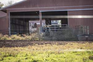Middlebush Farms - Captured at Middlebush Farms, Franklin Township NJ United States.