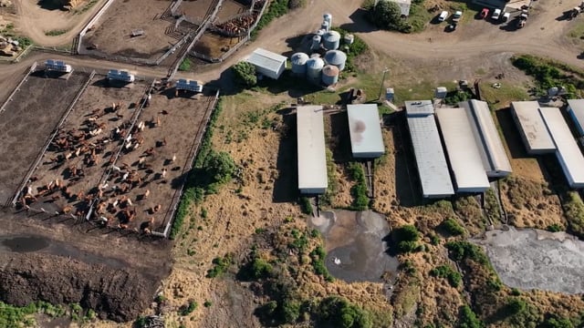 Barron Piggery and Feedlot