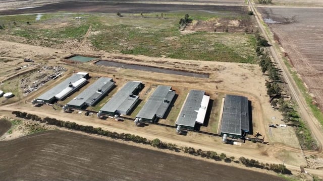 Reilly Pastoral Co piggery