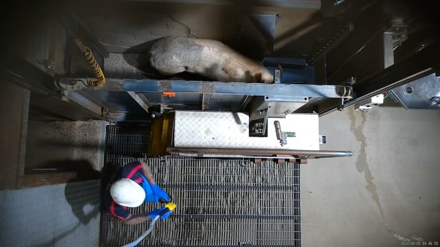 Hidden camera: knockbox