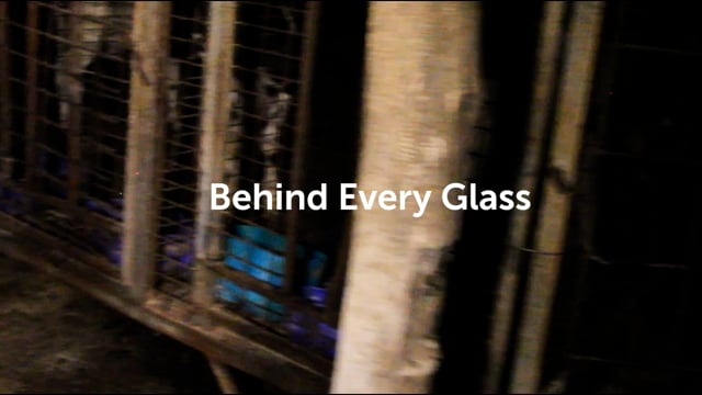 Behind Every Glass - Sippels Dairy
