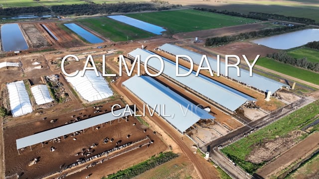 Calmo Dairy - Overview