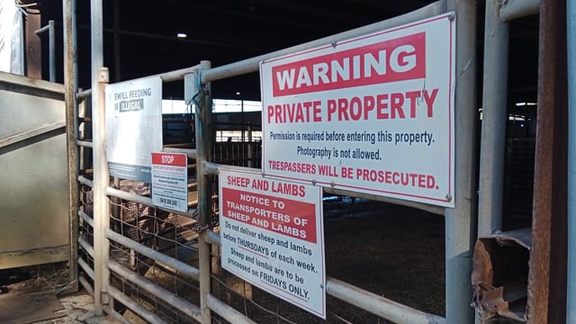 Flowers placed outside Benalla Slaughterhouse holding pens during pig vigil