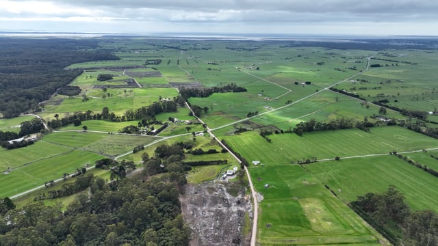 Calf separation on Tasmanian dairy farms (full - no music)