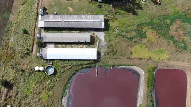 D J & H L Reid Piggery