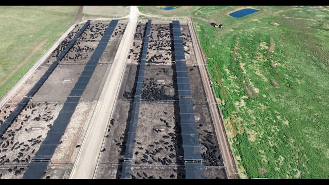 Nullamanna Feedlot - Inverell NSW