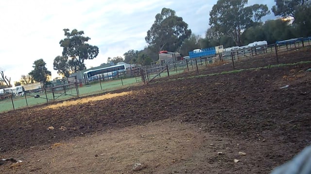 Day 2 - 3 x unidentified horses