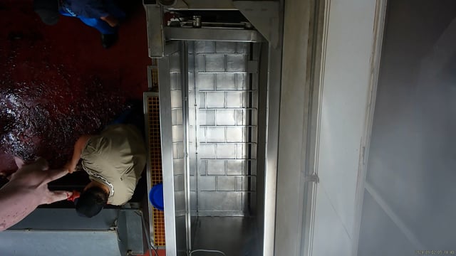 Hidden camera: knockbox