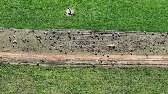 DJI_20260624121013_0084_D