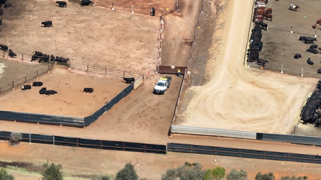 DJI_20251121151839_0006_D