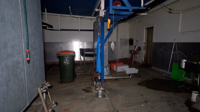 Inside Gippsland Meats rabbit slaughterhouse