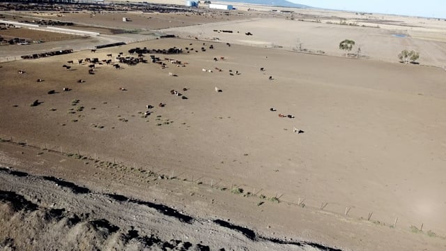 Drone flyover of Jalna feedlot 2018