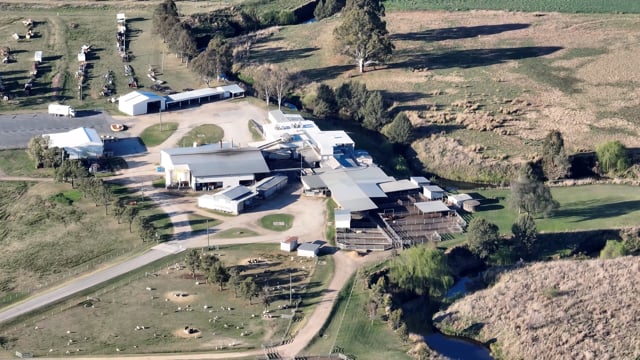 Drone flyover of Carey Bros slaughterhouse