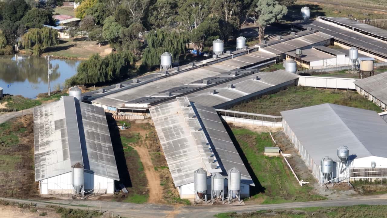 Drone flyover of Midland Bacon