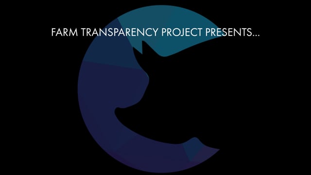 FTP Pig Industry Awards 2025