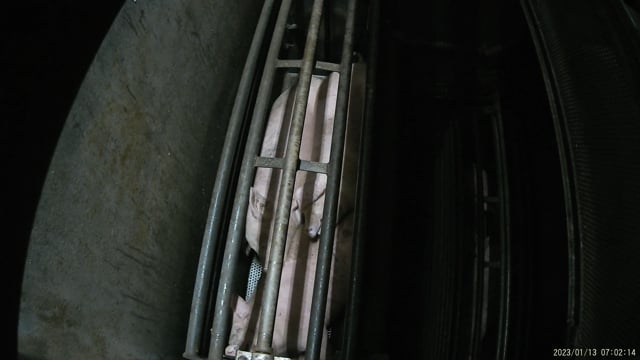 Bottom of gondola in gas chamber (hidden cam)