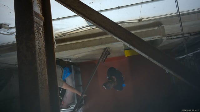 Hidden camera: kill room middle