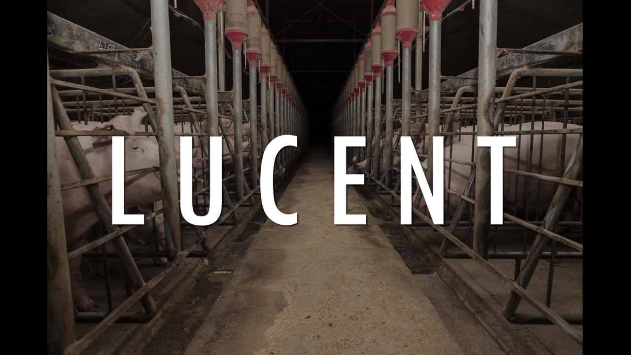 Lucent (2014) - full documentary