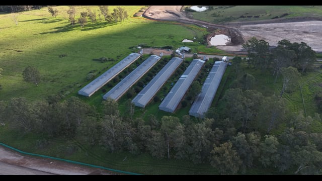 Jacaranda Farm - Baiada Broiler - Drone
