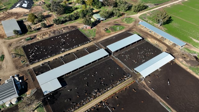 Kenara Dairy, Blighty NSW (Drone)