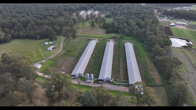 Unknown Free Range Eggs - Wilberforce - Drone Footage