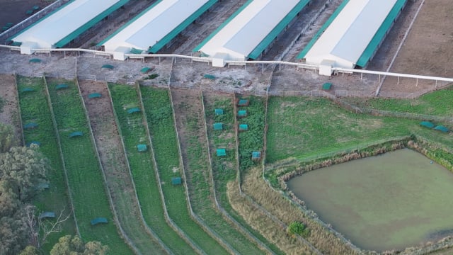 Terrace Farm - Free Range Eggs - Drone Footage