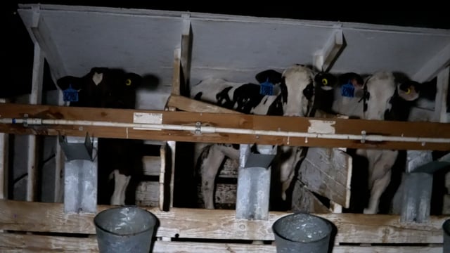 Tuenissen  big trio1116