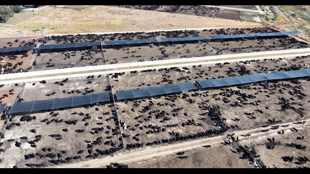 Gunnee Feedlot - Delungra NSW