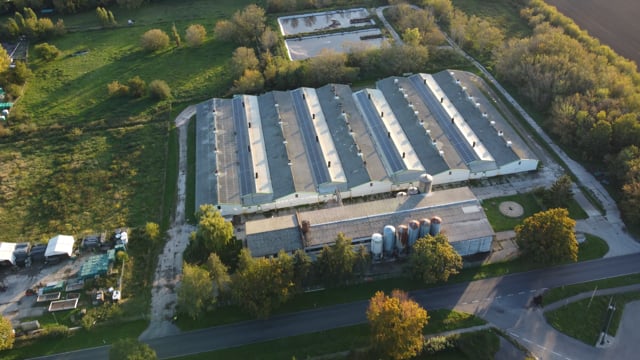 Schweinemast BRA-DER GmbH (Pig farm)