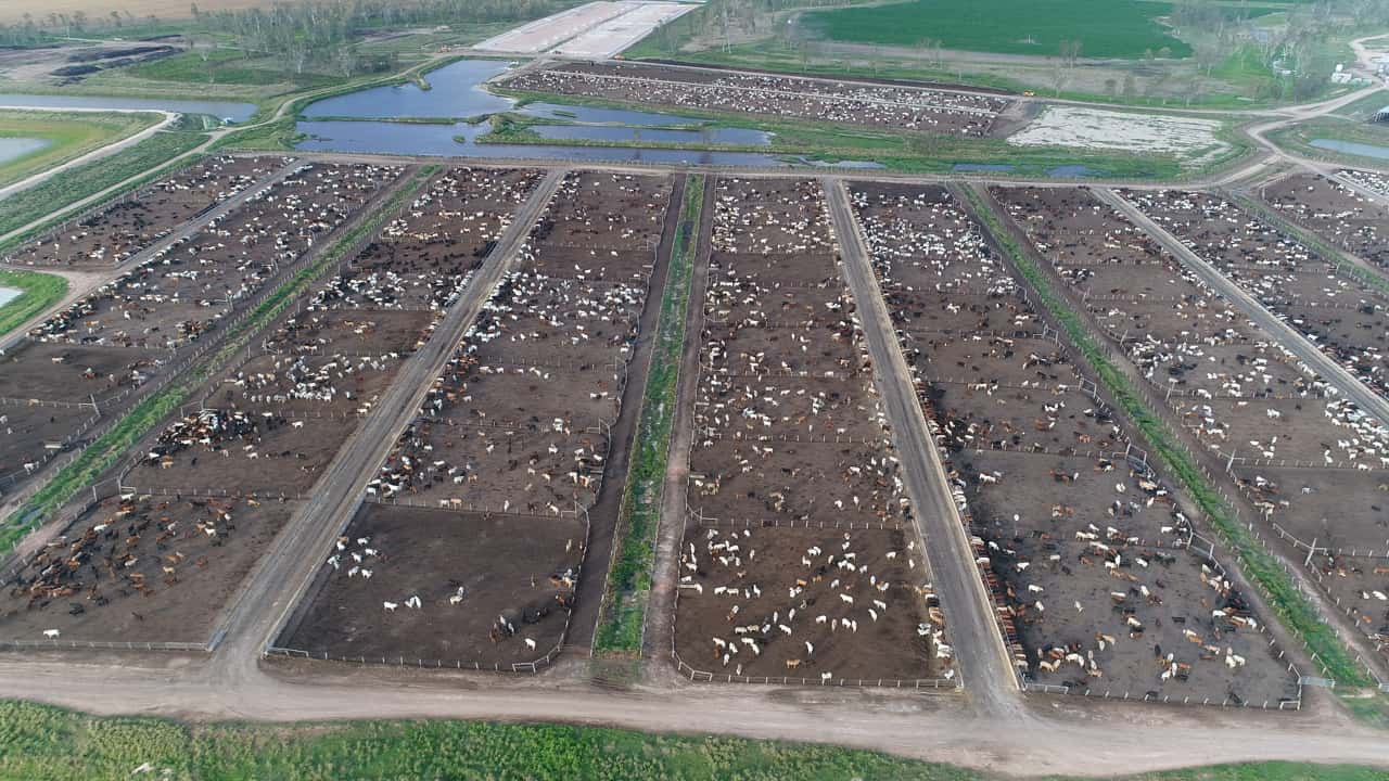 Drone flyover at Lemontree Feedlot, QLD, late 2017