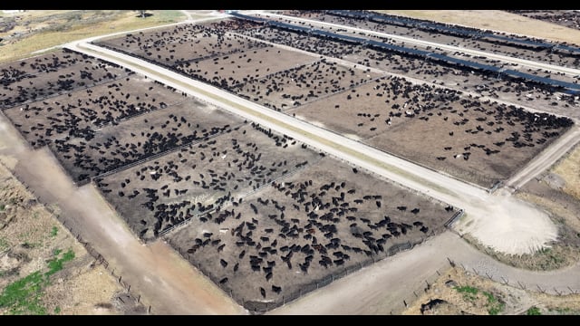Gunnee Feedlot - Delungra NSW