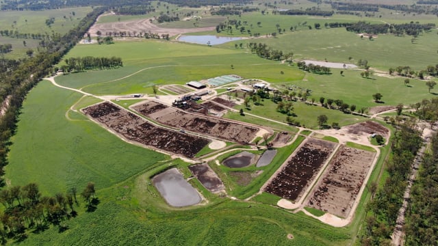 Pakaderinga cow Feedlot