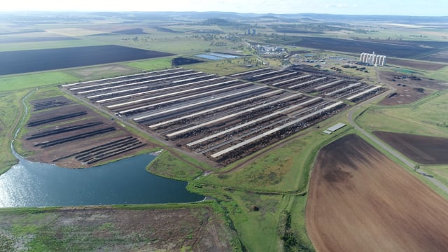 Drone flyover of Beef City feedlot 2017