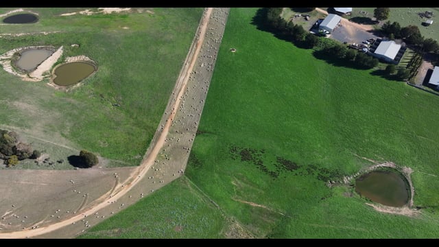 DJI_20260624120842_0080_D