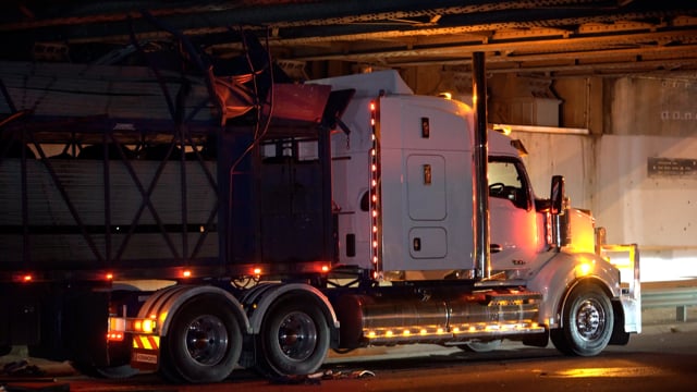 Raw footage - cows killed in horrific Melbourne truck crash