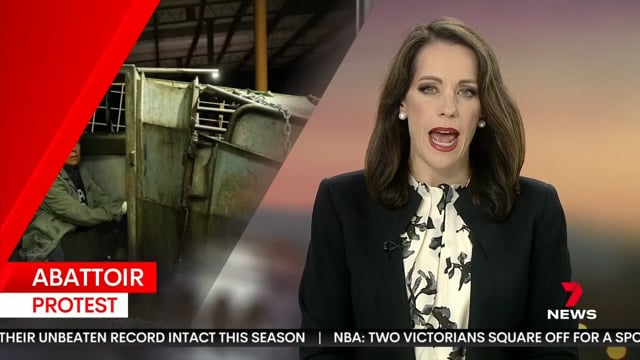 7 News Border coverage of the Benalla abattoir shut-down action