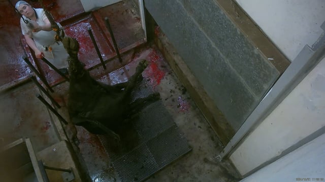 Hidden camera - Knockbox tipout
