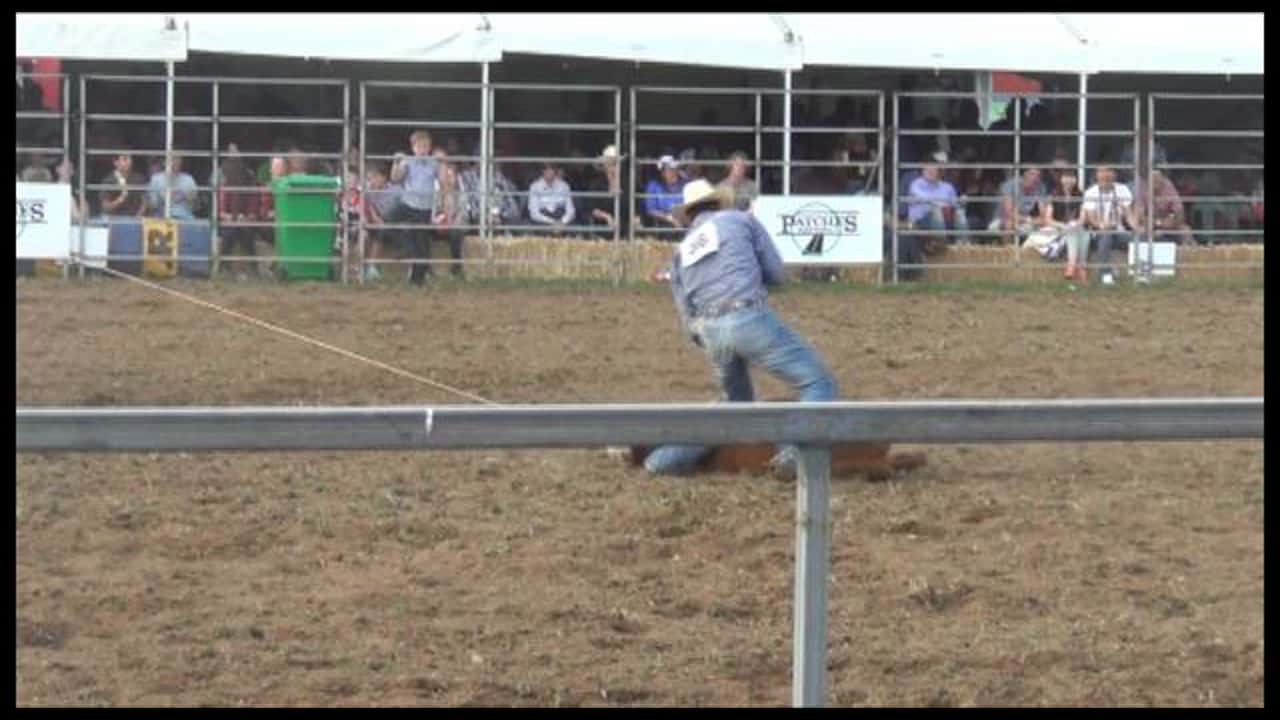 Calf Roping at Queanbeyan Rodeo