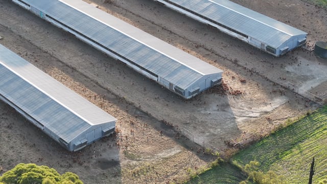 Unknown Free Range Eggs - Wilberforce - Drone Footage